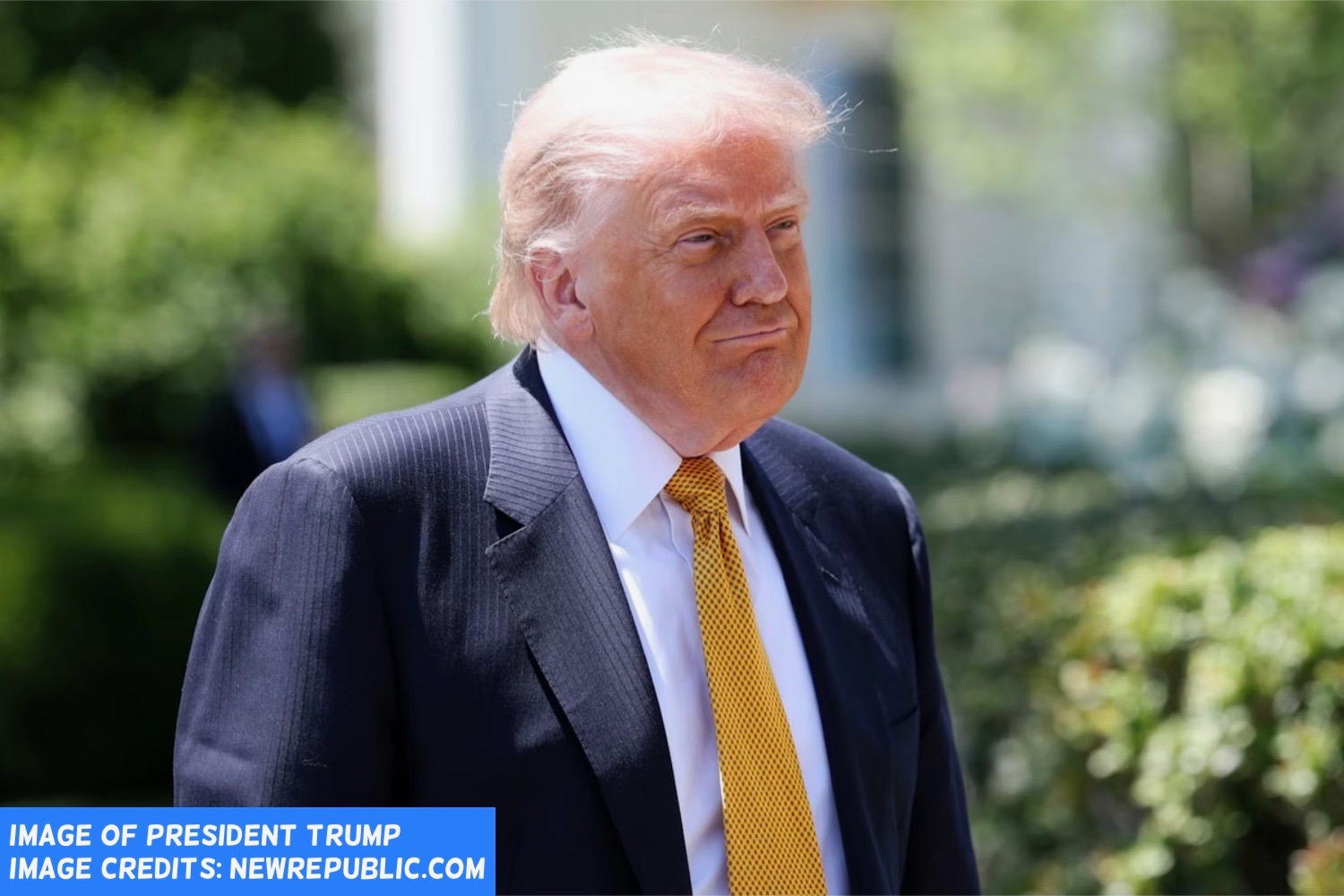 Wake Up! Trump Does Not “Think” About Finances And Affordability For Americans